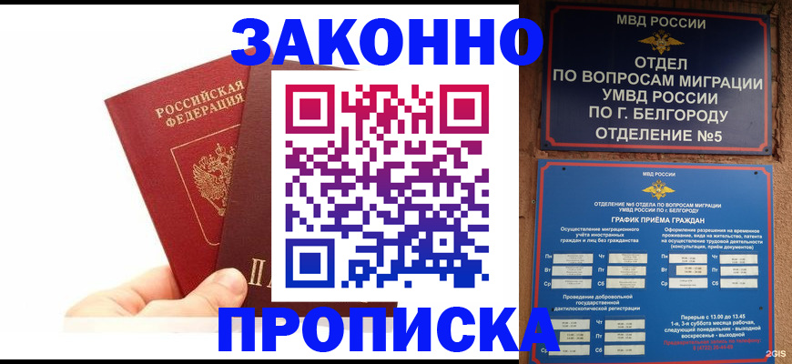 временная регистрация для школы в Камышине